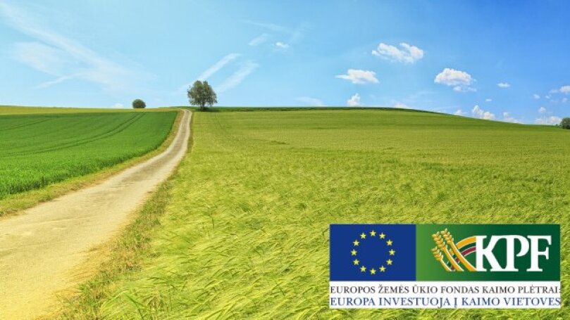 Kokie klausimai kyla dėl KPP pasidalytos rizikos paskolų?