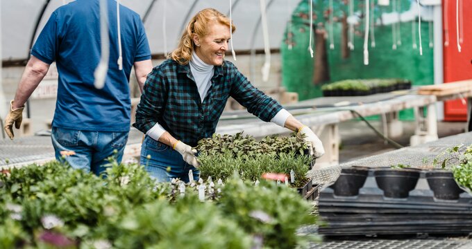 KREDA grupė pradeda teikti lengvatines paskolas ūkininkams