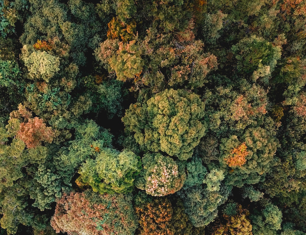 Environment