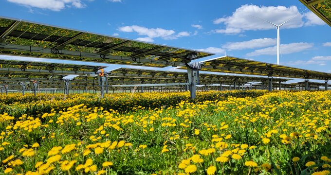 Žingsnis žaliosios energetikos link: ILTE finansuos 10 naujų saulės parkų