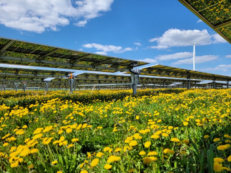 Žingsnis žaliosios energetikos link: ILTE finansuos 10 naujų saulės parkų
